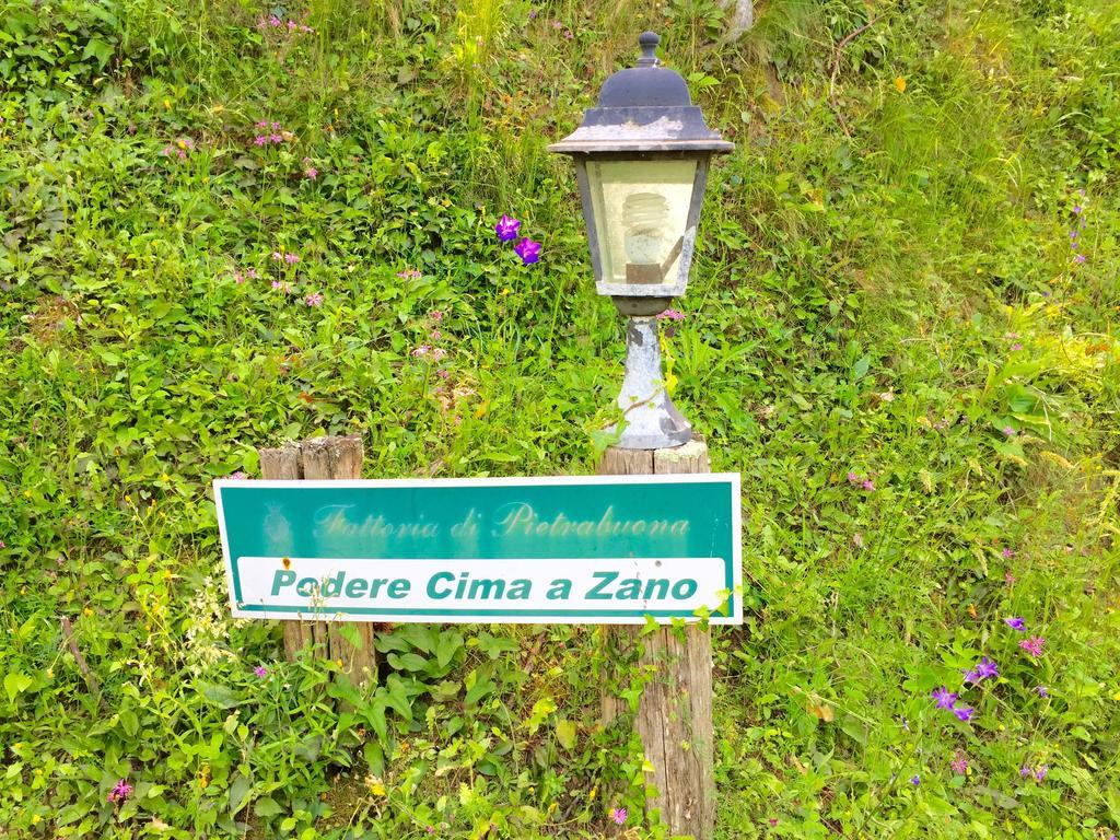 Fattoria Di Pietrabuona Apartman Pescia Kültér fotó