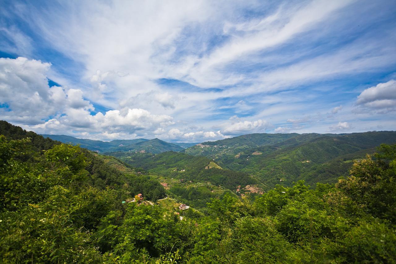 Fattoria Di Pietrabuona Apartman Pescia Kültér fotó