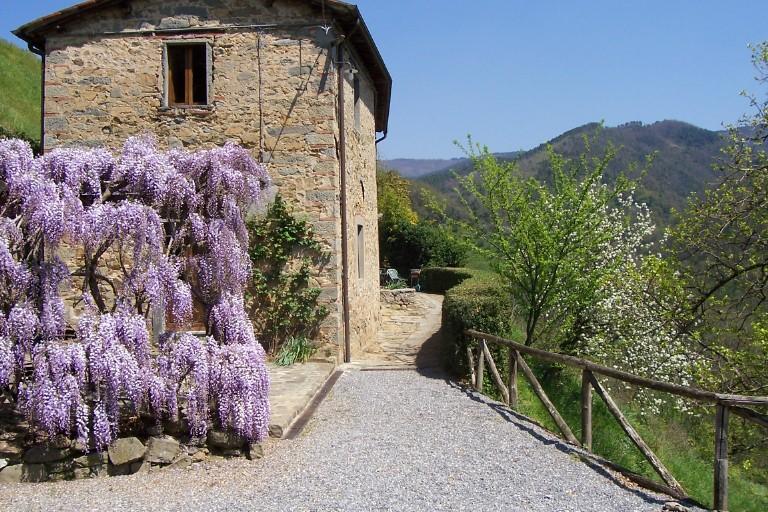 Fattoria Di Pietrabuona Apartman Pescia Kültér fotó